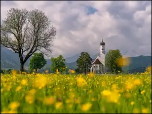 Niemcy, Schwangau, Region Allgau, Chmury, Alpy, Góry, Drzewa, Kościół Eglise Saint Coloman, Łąka, Bawaria