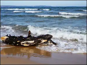 Bałtyk, Plaża, Piasek, Morze, Kłoda, Woda, Fale