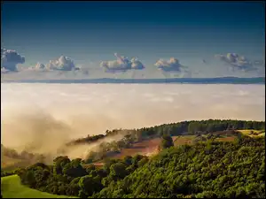 Wzgórza, Mgła, Lasy