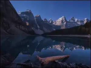 Kanada, Jezioro, Alberta, Odbicie, Park Narodowy Banff, Moraine Lake, Konar, Góry, Drzewa