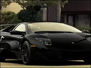 Gallardo, Samochód, Lamborghini