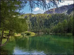 Jezioro, Drzewa, Góry, Szwajcaria, Las
