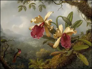 Storczyki na obrazie Martina Johnsona Heade