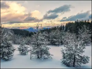 Śnieg, Zima, Drzewa, Chmury, Las, Góry
