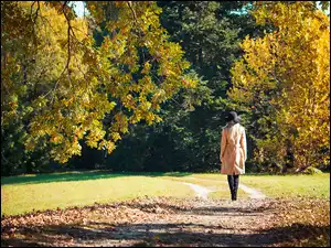 Jesień, Kobieta, Ścieżka, Spacer, Drzewa, Park