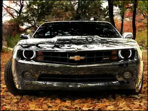 Liście, Chevrolet Camaro