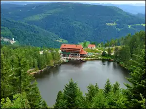 Północny Schwarzwald, Niemcy, Hotel Berghotel, Góry, Jezioro Mummelsee, Drzewa