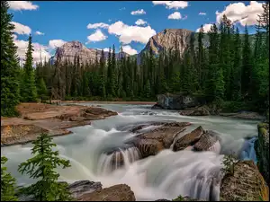 Kanada, Park Narodowy Yoho, Chmury, Skały, Drzewa, Góry, Rzeka, Świerki, Kicking Horse River, Kolumbia Brytyjska