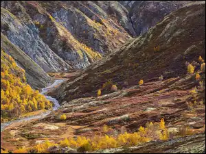 Góry, Skały, Drzewa, Norwegia, Jesień, Rzeka, Park Narodowy Rondane