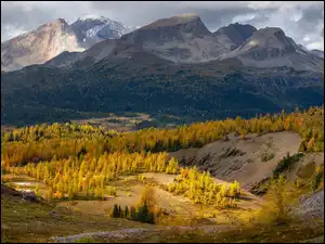 Kanada, Chmury, Park prowincjonalny Mount Assiniboine, Jesień, Góra, Góry, Las, Nub Peak, Drzewa, Kolumbia Brytyjska