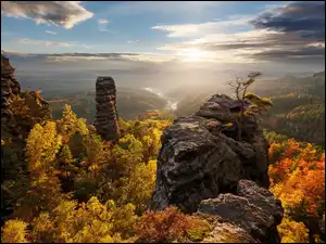 Słońce, Park Narodowy Saskiej Szwajcarii, Lasy, Jesień, Góry Połabskie, Skały, Niemcy, Drzewa