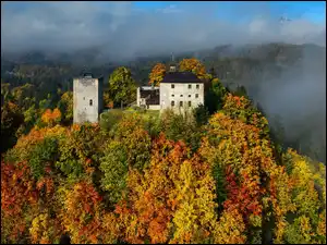 Zamek Thierberg, Las, Austria, Góry, Mgła, Jesień, Drzewa