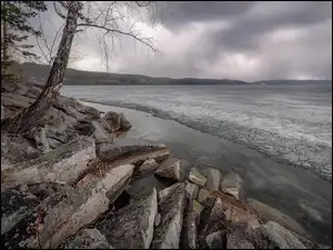 Drzewa, Jezioro, Skały, Kamienie