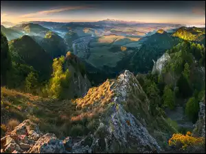 Mgła, Wschód słońca, Skały, Las, Góry, Trawa