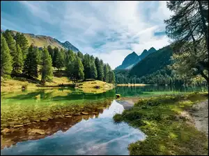 Las, Lato, Jezioro, Góry, Drzewa