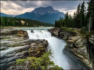 Kanada, Rzeka, Chmury, Athabasca Falls, Drzewa, Athabasca River, Skały, Park Narodowy Jasper, Wodospad