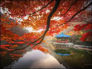 Japonia, Staw Sagiike, Nara, Pawilon Ukimido, Nara Park, Gałęzie, Klon, Jesień, Altana