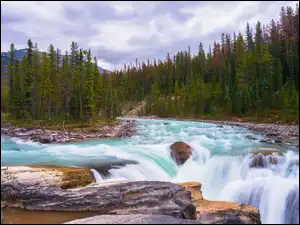 Wodospad na rzece Sunwapta w Parku Narodowym Jasper w Kanadzie