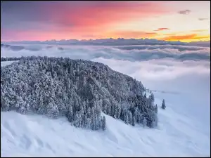 Góry, Zachód słońca, Drzewa, Zima, Jura Mountains