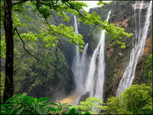 Drzewa, Indie, Waterfalls Jog, Skała, Stan Karnataka, Las, Rośliny, Wodospad Dźog