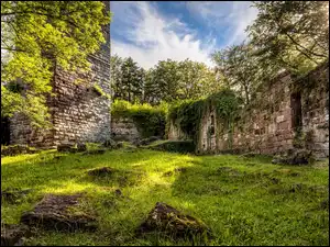 Niemcy, Wildenberg Castle, Bawaria, Trawa, Kirchzell, Mury, Drzewa, Ruiny, Rośliny