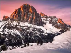 Dolomity, Włochy, Zima, Las, Prowincja Belluno, Góry Tofany, Drzewa, Gmina Cortina dAmpezzo