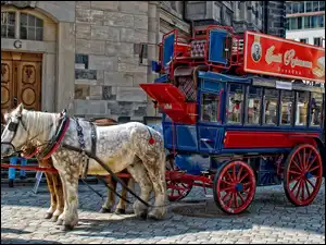 Miasta, Konie, Wóz, Rynek