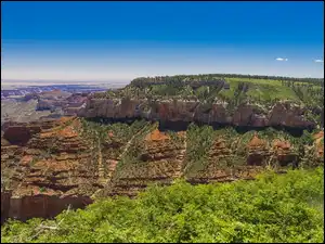 USA, Park, Kanion, Arizona