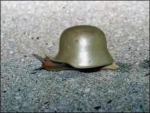 Chełm, Ślimak, Żołnierski
