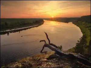 Rosja, Rzeka Dolna Tunguzka, Obwód irkucki, Suchy, Konar, Łódka, Lasy, Zachód słońca, Drzewa
