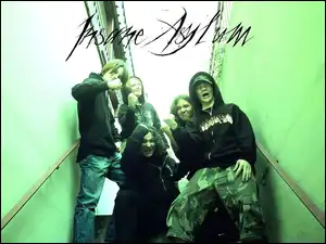 zespół, Insane Asylum