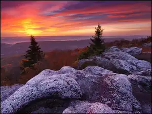 Skały, Stany Zjednoczone, Rezerwat przyrody Bear Rocks, Drzewa, Wirginia Zachodnia, Góry, Zachód słońca, Odbszar Dolly Sods Wilderness