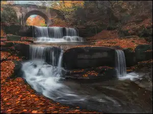 Wodospad, Kamienny, Liście, Most, Rzeka, Miejscowość Sitowo, Sitovski Waterfall, Las, Jesień, Kaskada, Bułgaria