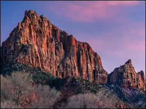 Góra Watchman, Skały, Stany Zjednoczone, Góry, Stan Utah, Park Narodowy Zion, Krzewy