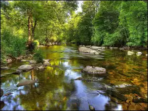 Drzewa, Rzeka
