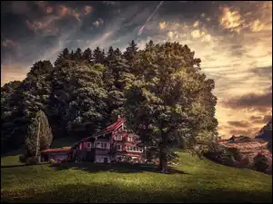 Ciemne chmury nad lasem i domem