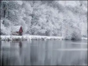 Dom, Zima, Drzewa, Śnieg, Las, Szron, Jezioro, Ośnieżone
