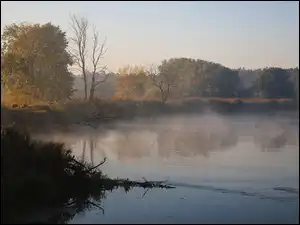 Mgła, Wschód., Warta, Rzeka, Poranek