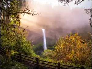Stany Zjednoczone, South Falls, Stan Oregon, Trawa, Park stanowy Silver Falls, Jesień, Skały, Wodospad, Drzewa