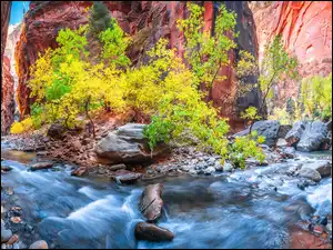 Kamienie, Stany Zjednoczone, Kanion Zion Narrows, Rzeka Virgin River, Stan Utah, Skały, Roślinność, Park Narodowy Zion