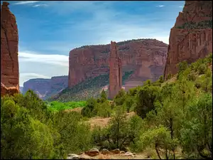 Stan Utah, Stany Zjednoczone, Kanion Zion Narrows, Drzewa, Park Narodowy Zion, Skały