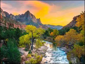 Kamienie, Stany Zjednoczone, Góry Watchman, Drzewa, Stan Utah, Rzeka Virgin River, Wschód słońca, Park Narodowy Zion