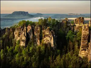 Skały, Park Narodowy Saskiej Szwajcarii, Drzewa, Niemcy, Bastei, Góry Połabskie