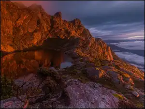 Jezioro, Drzewo, Australia, Skały, Tasmania, Góry, Sosna