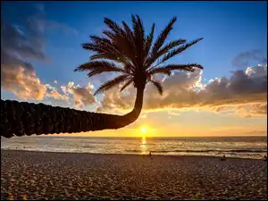 Zachód Słońca, Chmury, Morze, Plaża, Palma