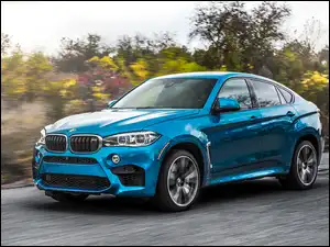 BMW F86 X6 M