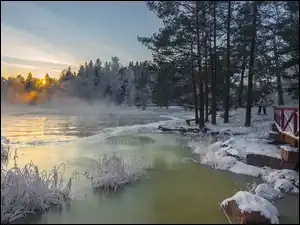 Finlandia, Las, Kotka, Mgła, Wschód słońca, Drzewa, Rzeka Langinkoski, Zima, Mostek