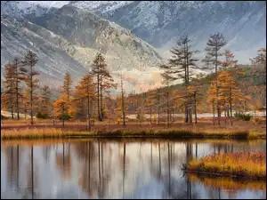 Drzewa, Jesień, Jezioro Jacka Londona, Rosja, Góry Kołymskie, Obwód magadański
