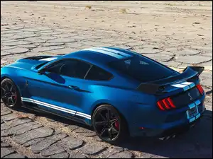 Ford Mustang Shelby GT500 rocznik 2020