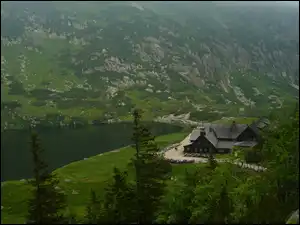 Skała, Las, Góry, Lato, Jezioro